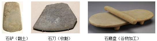 图片10.png