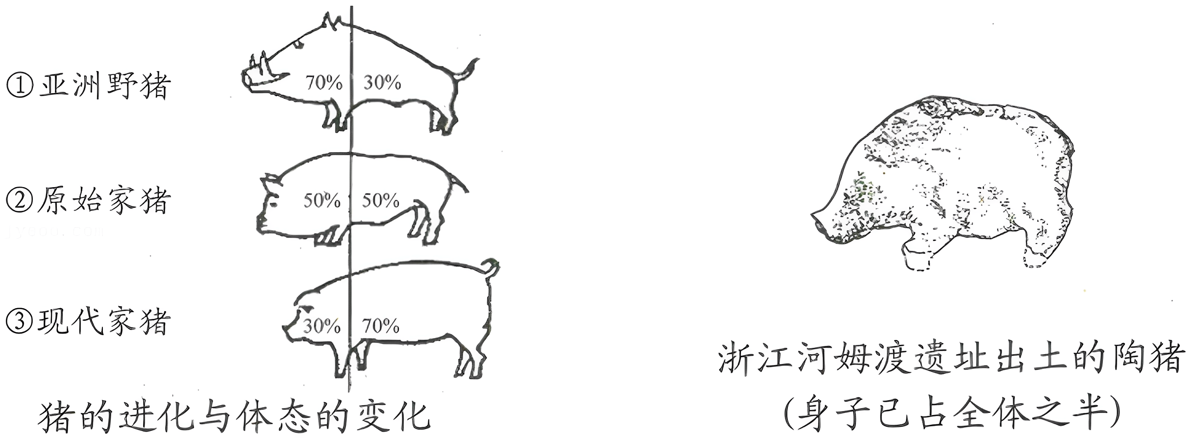 1000004649.png